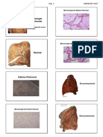 Patologia Respiratoria 2017 Alumno PDF