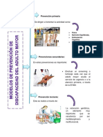 Modelos de Prevención de Discapacidad Del Adulto