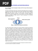 Regulación Del Cierre Estomático