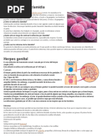 Infecciones Por Clamidia