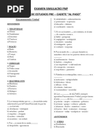 Examen Simulacro PNP Completo