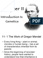 Biology Chapter11 Introductiontogenetics 091122213400 Phpapp01