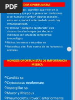 Micosis Oportunistas