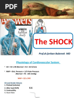 The Shock: Prof - Dr.şerban Bubenek MD