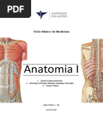 Atena - A Nova Sebenta de Anatomia I (Versão 1.1.1) PDF