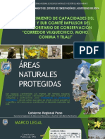 Áreas Naturales Protegidas