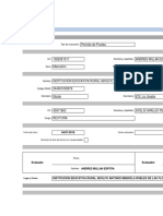 Protocolo de Evaluación de Docentes y Directivos Docentes