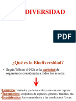 Bio Divers I Dad