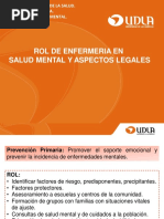 Rol de Enfermer A en Salud Mental