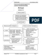 15 Plantae PDF