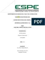 Informe Laboratorio HOJA Aguilar Apunte Cabascango1 201520