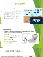 Ciclo Del Potasio