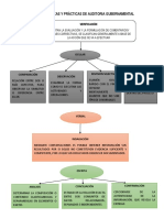 Tecnicas y Prácticas de Auditoria Gubernamental