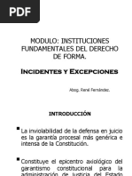 Incidentes y Excepciones - Instituciones