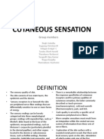 Cutaneous Sensation: Group Members