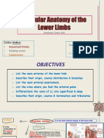 18 Vascular Anatomy of The Lower Limbs