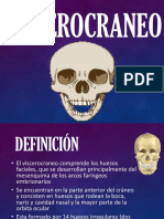 Viscerocraneo