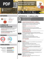 CV Ingeniero Civil