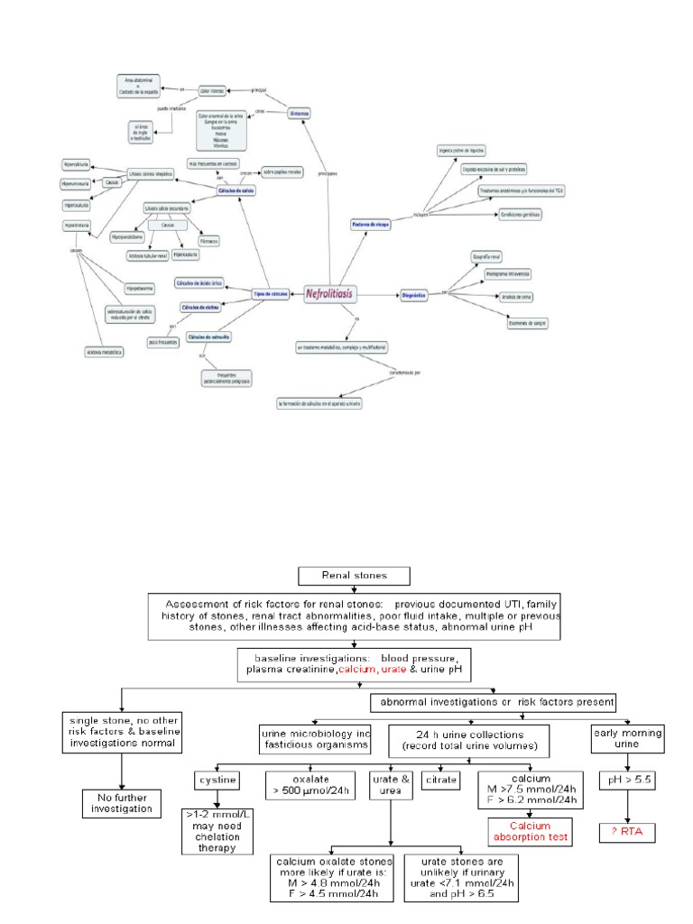 Batu Ginjal WOC | PDF