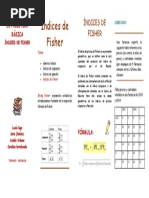 Folleto 1 2 PDF