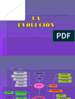 Evolución Anexo