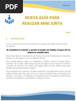 Guia para Realización de Mini Junta Oct 17