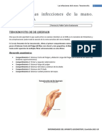 E16-Las Infecciones de La Mano. Tenosinovitis (T16)