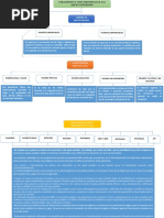 Mapa Conceptual de Tratamiento