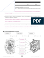 6epcn SV Es Ud01 Div So PDF