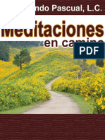 Meditaciones en Camino - Fernando Pascual LC