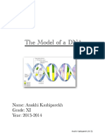 My Project On DNA