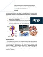 Excreción de Las Drogas