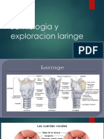 Semiologia y Exploracion Laringe