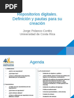 Repositorios Digitales Definicion y Pautas para Su Creacion