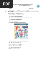 Cuestionario Genetica 1