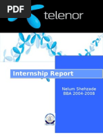 Internship Report: Nelum Shehzade BBA 2004-2008