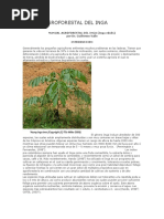 Manual Agroforestal Del Inga