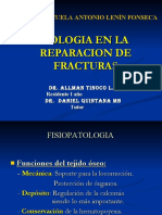 Biologiaenreparaciondefracturas