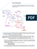 Hemostaza Secundara