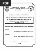 Nivel de Conocimiento Sobre Autoexamen de Mamas en Mujeres Que Acuden A Consulta Externa Del Hospital Regional Virgen de Fátima, Chachapoyas 2013 PDF