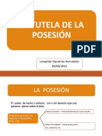 Tutela de La Posesión