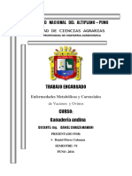 Enfermedades Metabólicas y Carenciales de Vacunos y Ovinos