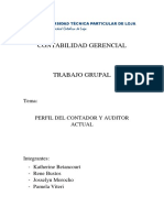 Ensayo El Contador y Auditor en La Actualidad