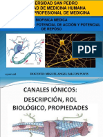 BIOFISICA POTEN Potencial de Reposo y Potencial de Accion 100518235110 Phpapp02