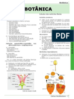 Botânica 2