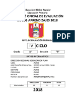 Registro Auxiliar de Evaluacion Primaria 2017