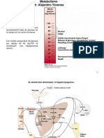 09 Glicolisis-Fermentacion