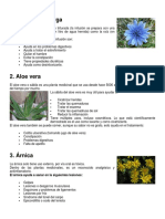 Plantas Medicinales