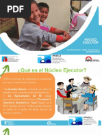 Nucleo Ejecutor Roles y Funciones