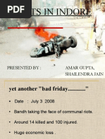 Amar Seminar Final Riots